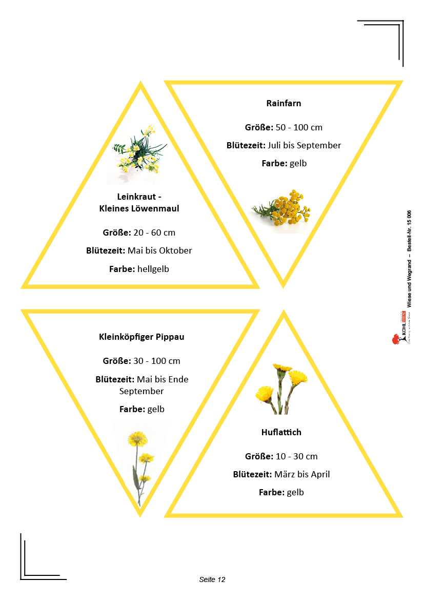 Wiese und Wegrand