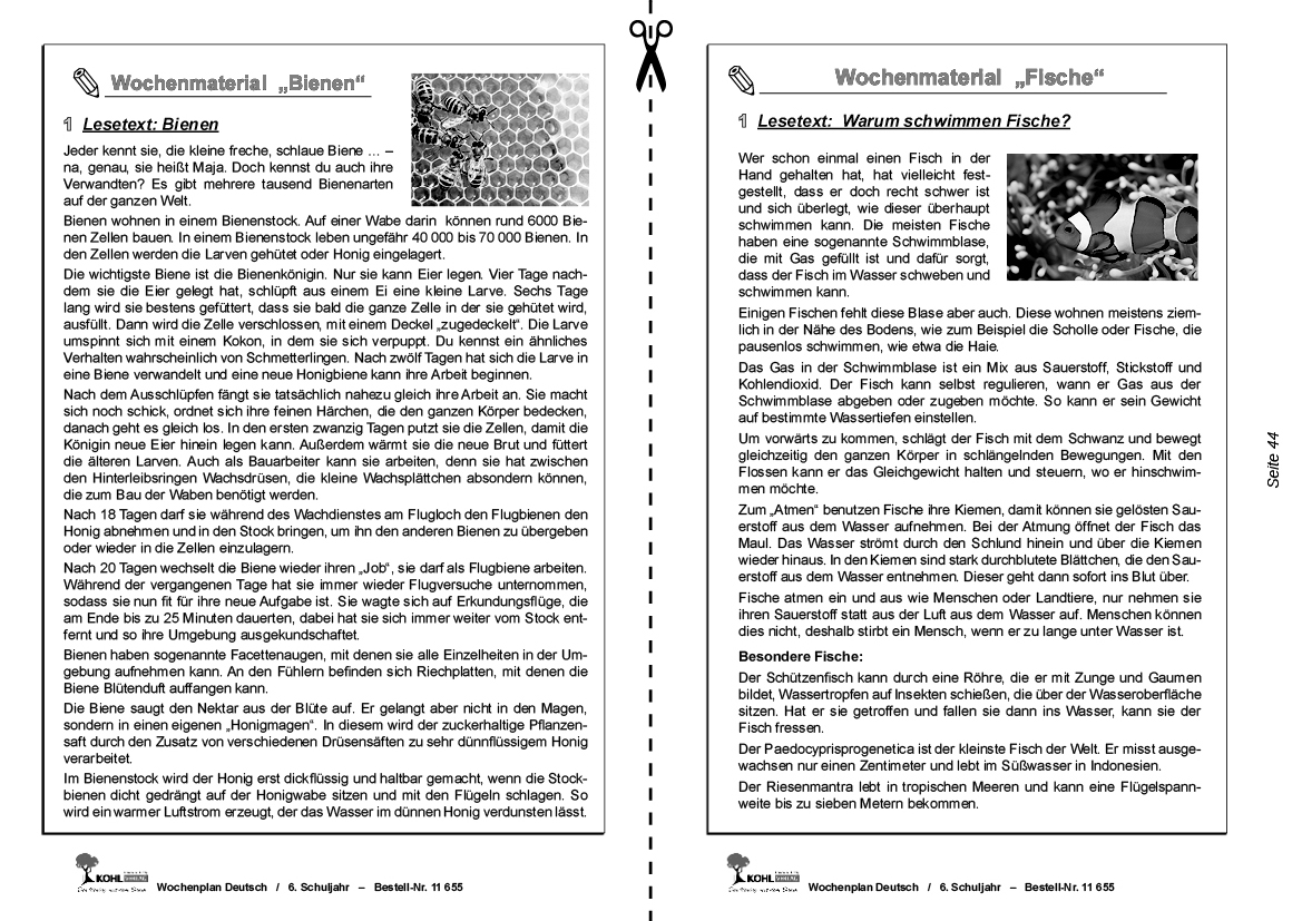 Wochenplan Deutsch / Klasse 6