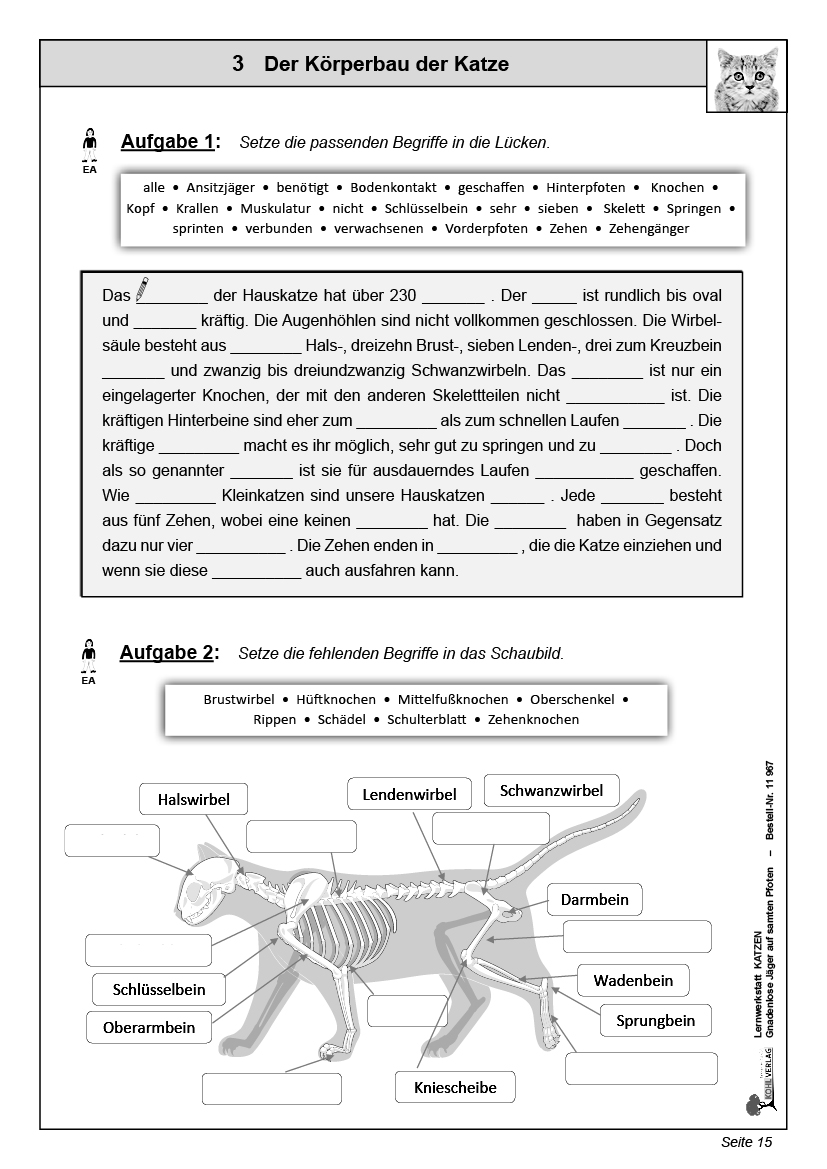 Lernwerkstatt Katzen Lernwerkstatt Katzen