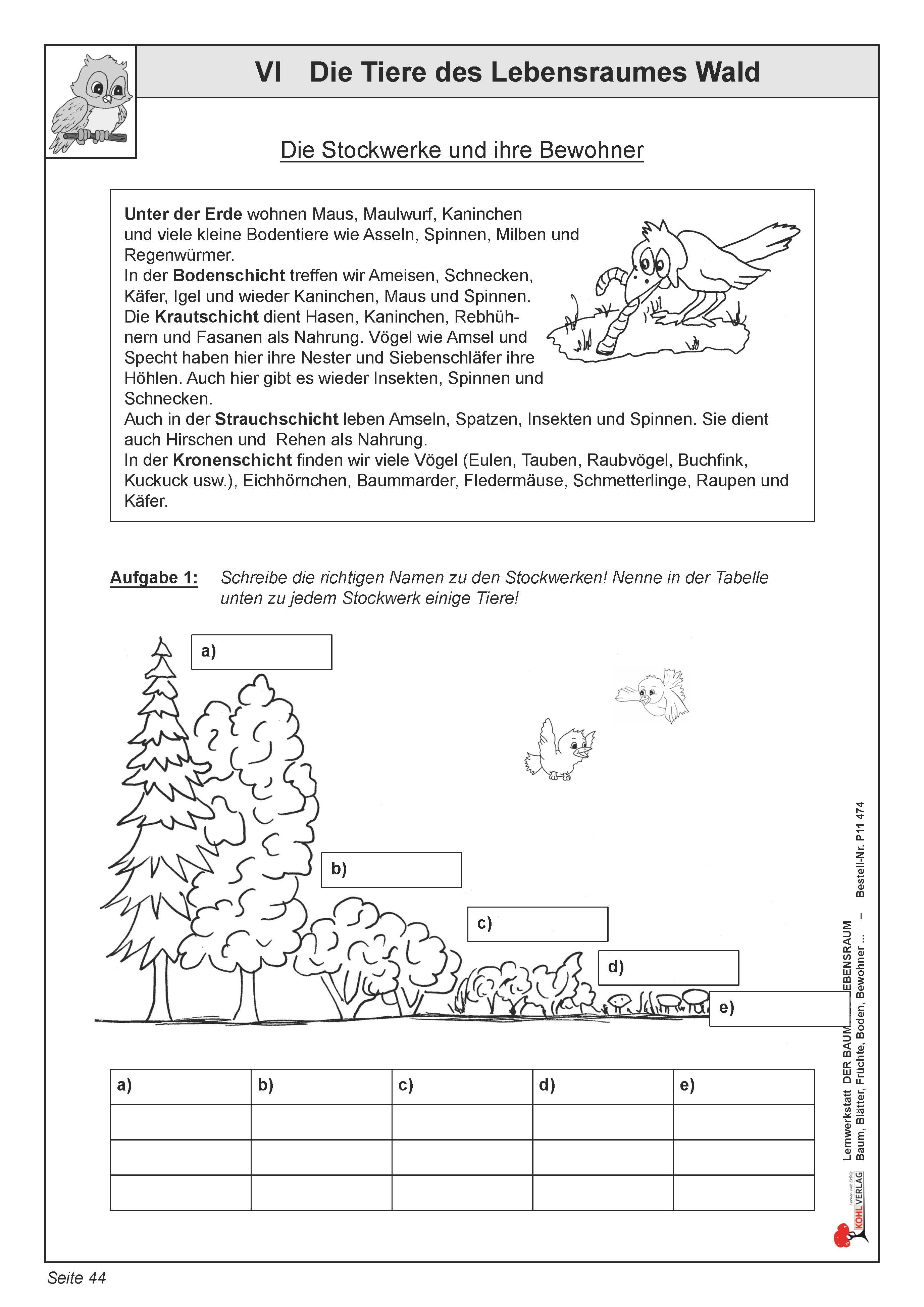 Lernwerkstatt: Die Tiere des Lebensraumes