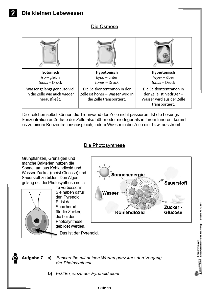 Lernwerkstatt Lebewesen unter dem Mikroskop / Klasse 5-6