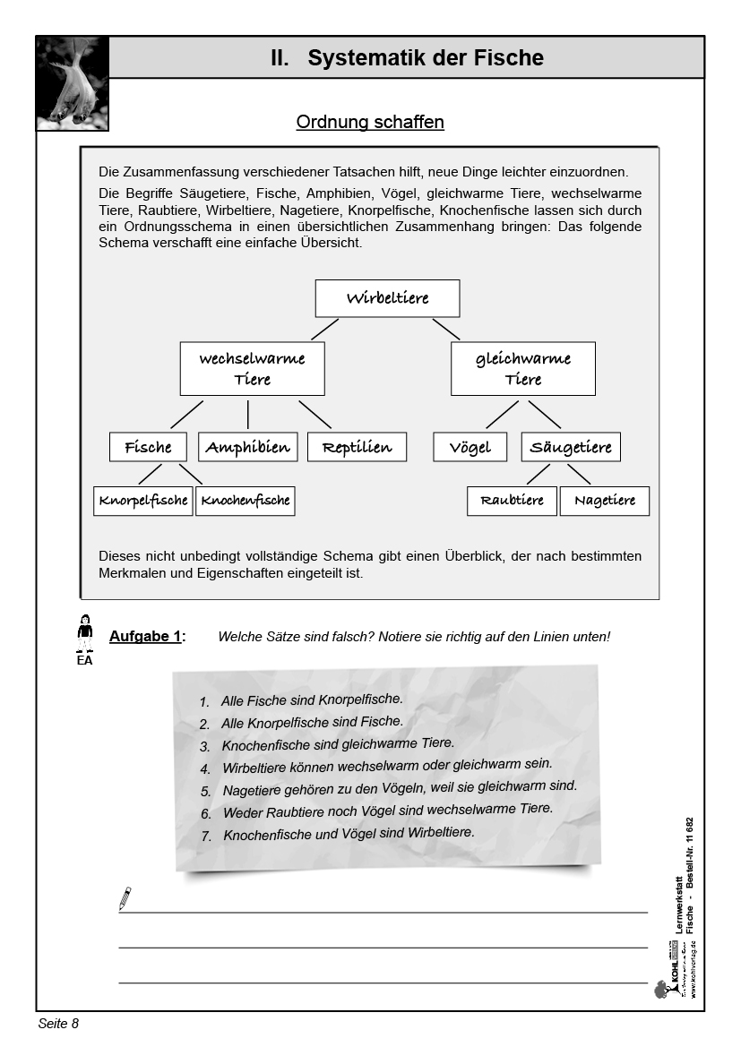 Lernwerkstatt Fische Lernwerkstatt Fische