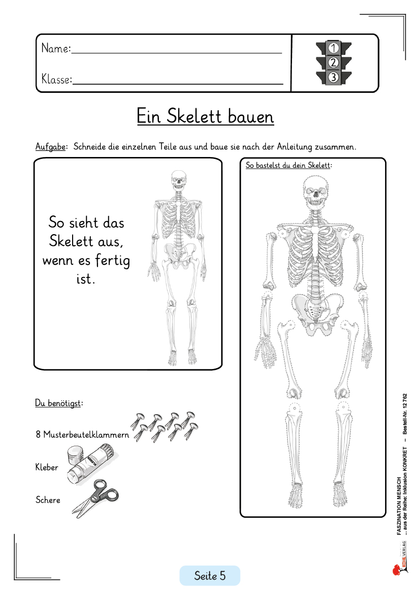 Faszination Mensch