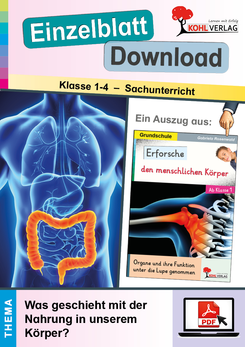 Erforsche den menschlichen Körper / Was geschieht mit der Nahrung in unserem Körper?