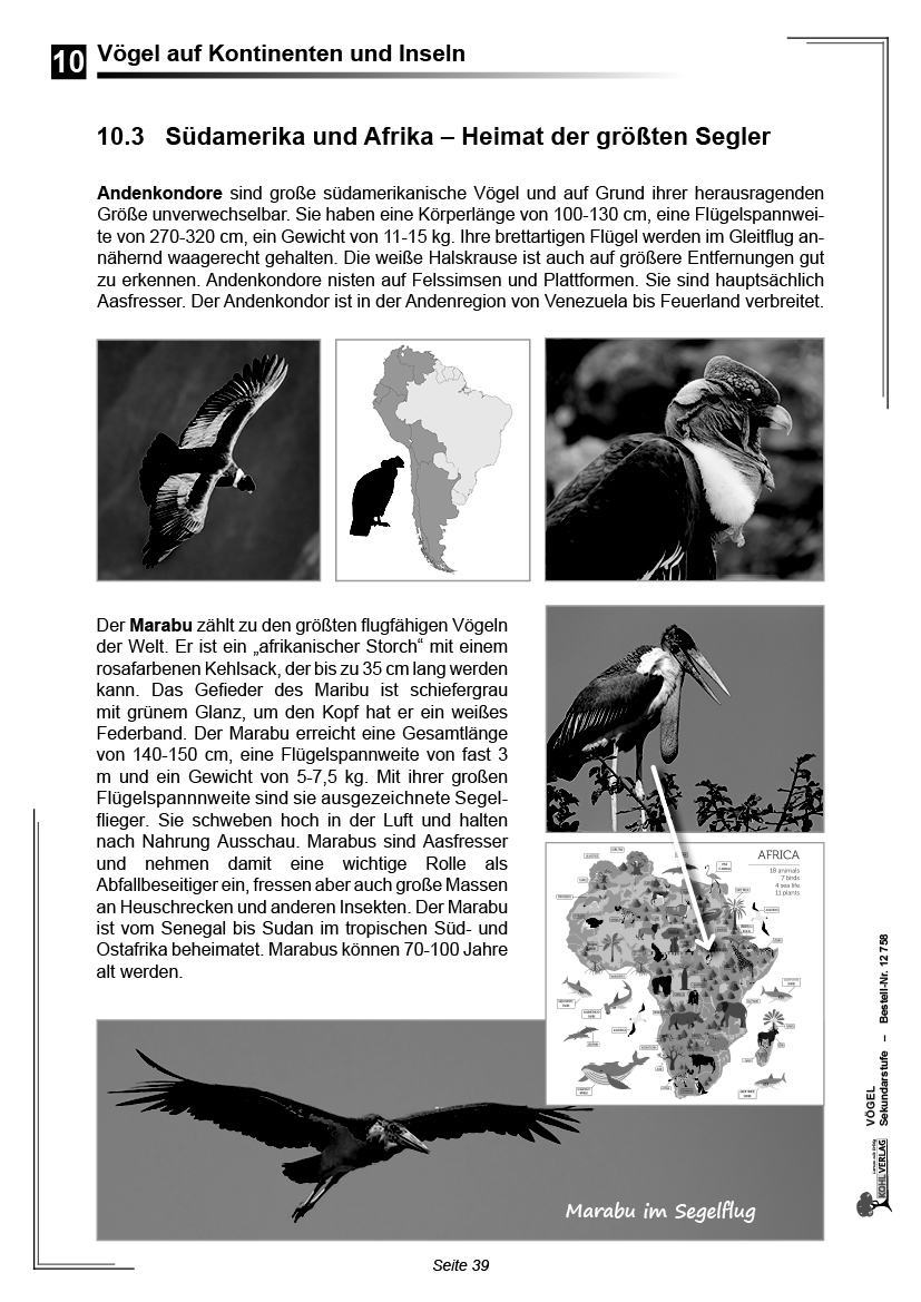 Vögel - Merkmale, Lebensraum, Systematik