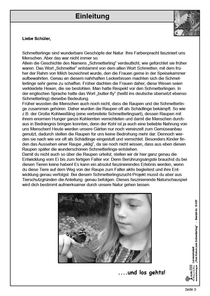 Lernwerkstatt Vom Kokon zum Schmetterling Lernwerkstatt Vom Kokon zum Schmetterling