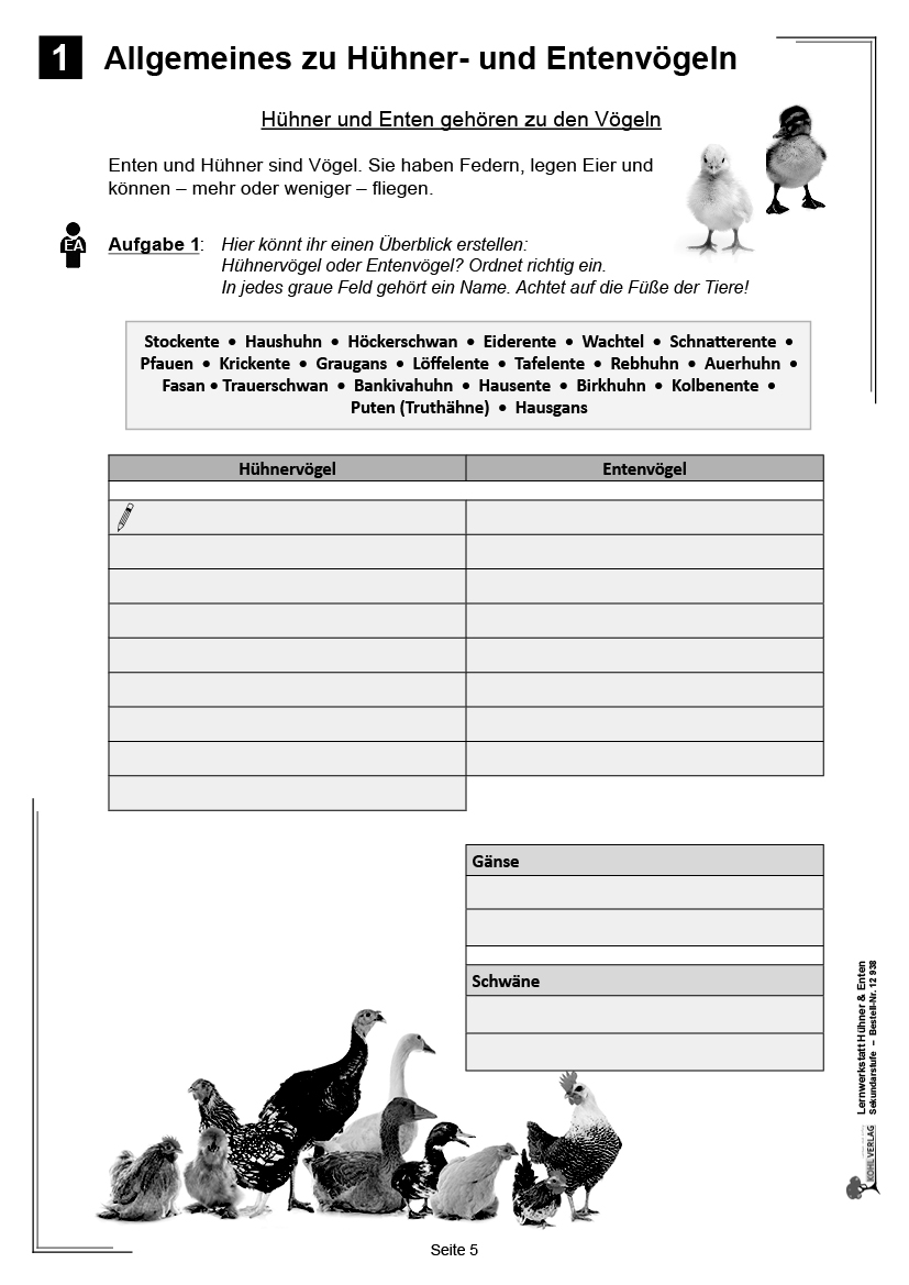 Lernwerkstatt Hühner & Enten / Sekundarstufe Lernwerkstatt Hühner & Enten / Sekundarstufe