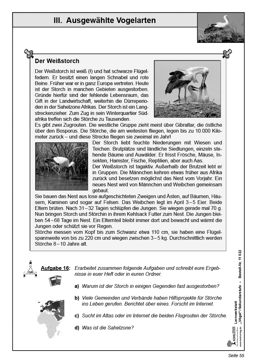Lernwerkstatt Vögel / SEK Lernwerkstatt Vögel / SEK