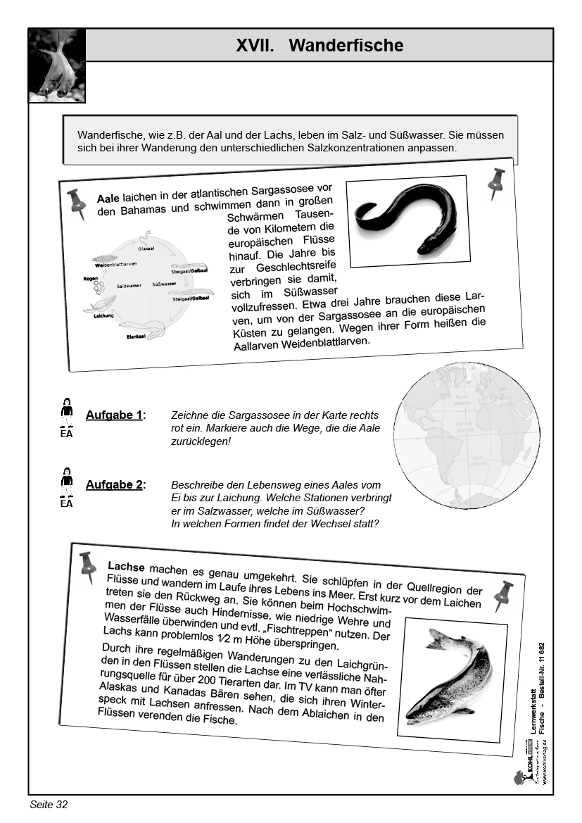 Lernwerkstatt Fische Lernwerkstatt Fische