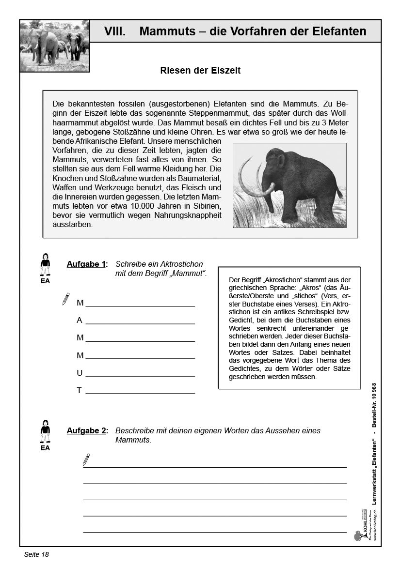 Lernwerkstatt Elefanten Lernwerkstatt Elefanten