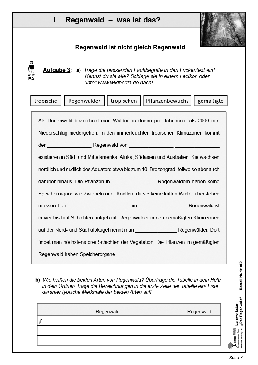 Lernwerkstatt Der Regenwald