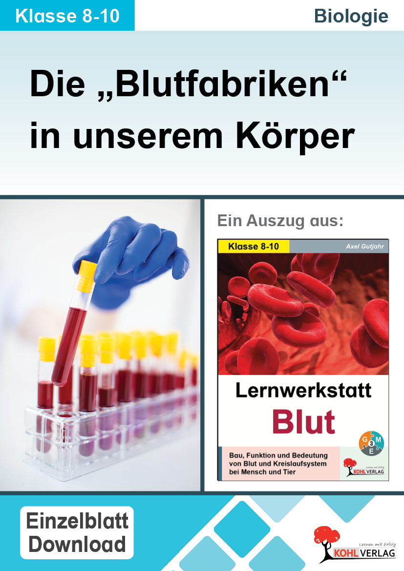 Lernwerkstatt Blut / Die "Blutfabriken" in unserem Körper