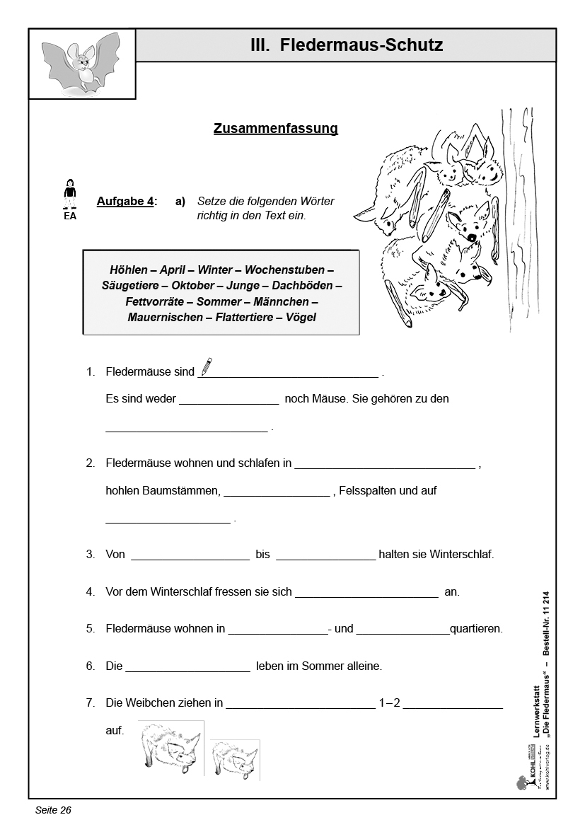 Lernwerkstatt Fledermaus Lernwerkstatt Fledermaus