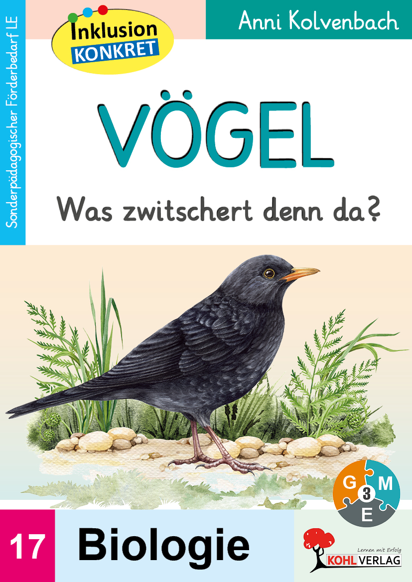 Vögel  -  Was zwitschert denn da?