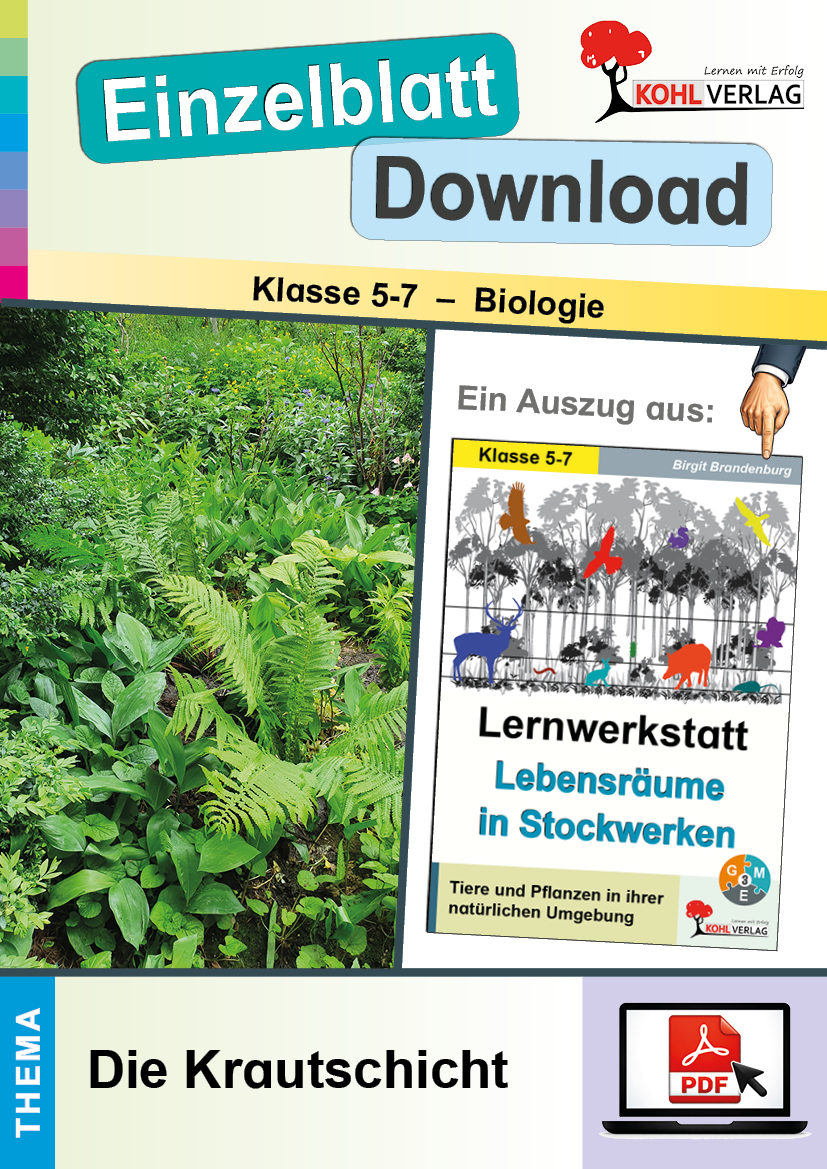 Lernwerkstatt Lebensräume in Stockwerken / Die Krautschicht