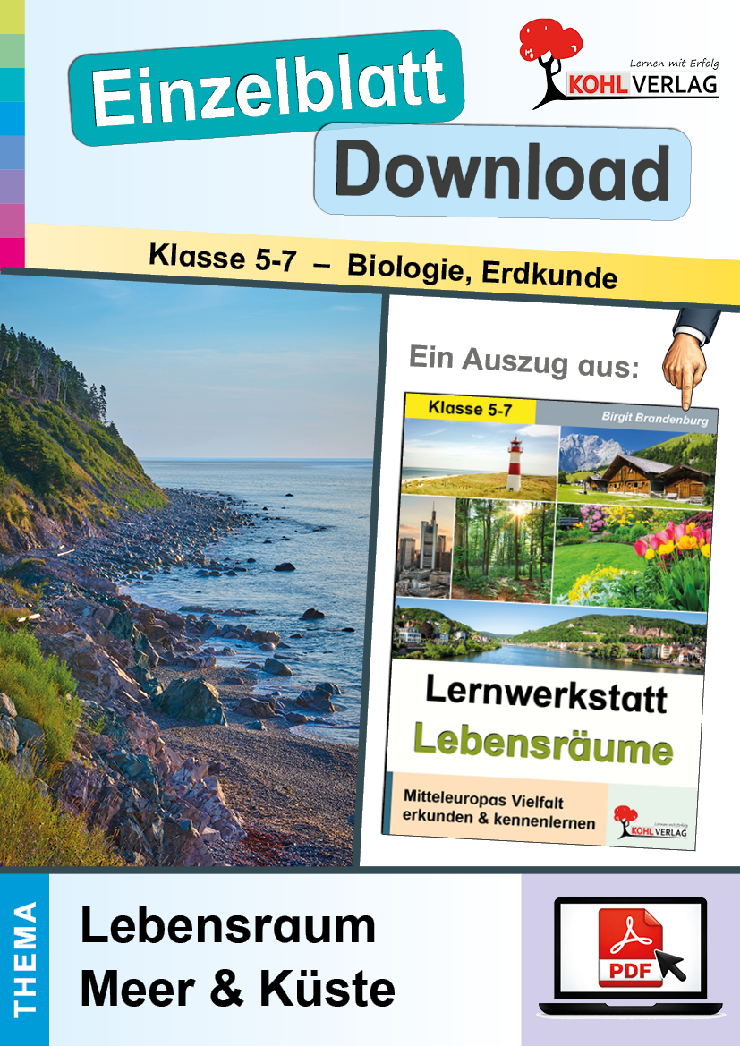 Lernwerkstatt Lebensräume: Lebensraum Meer & Küste