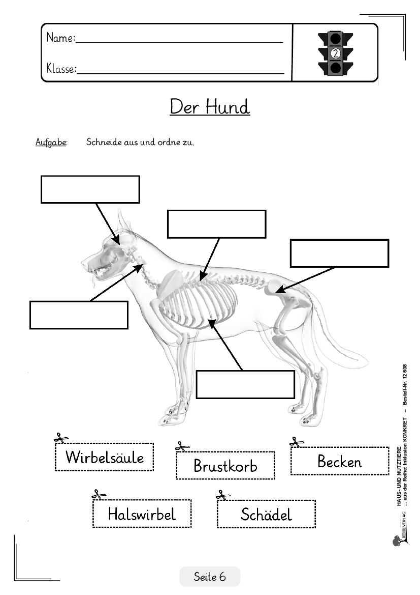 Haus- und Nutztiere