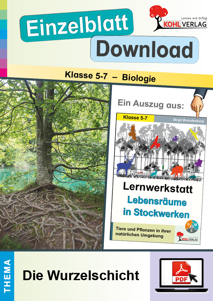 Lernwerkstatt Lebensräume in Stockwerken / Die Wurzelschicht