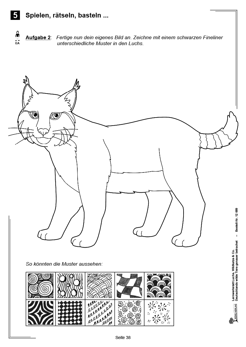 Lernwerkstatt Luchs, Wildkatze & Co Lernwerkstatt Luchs, Wildkatze & Co