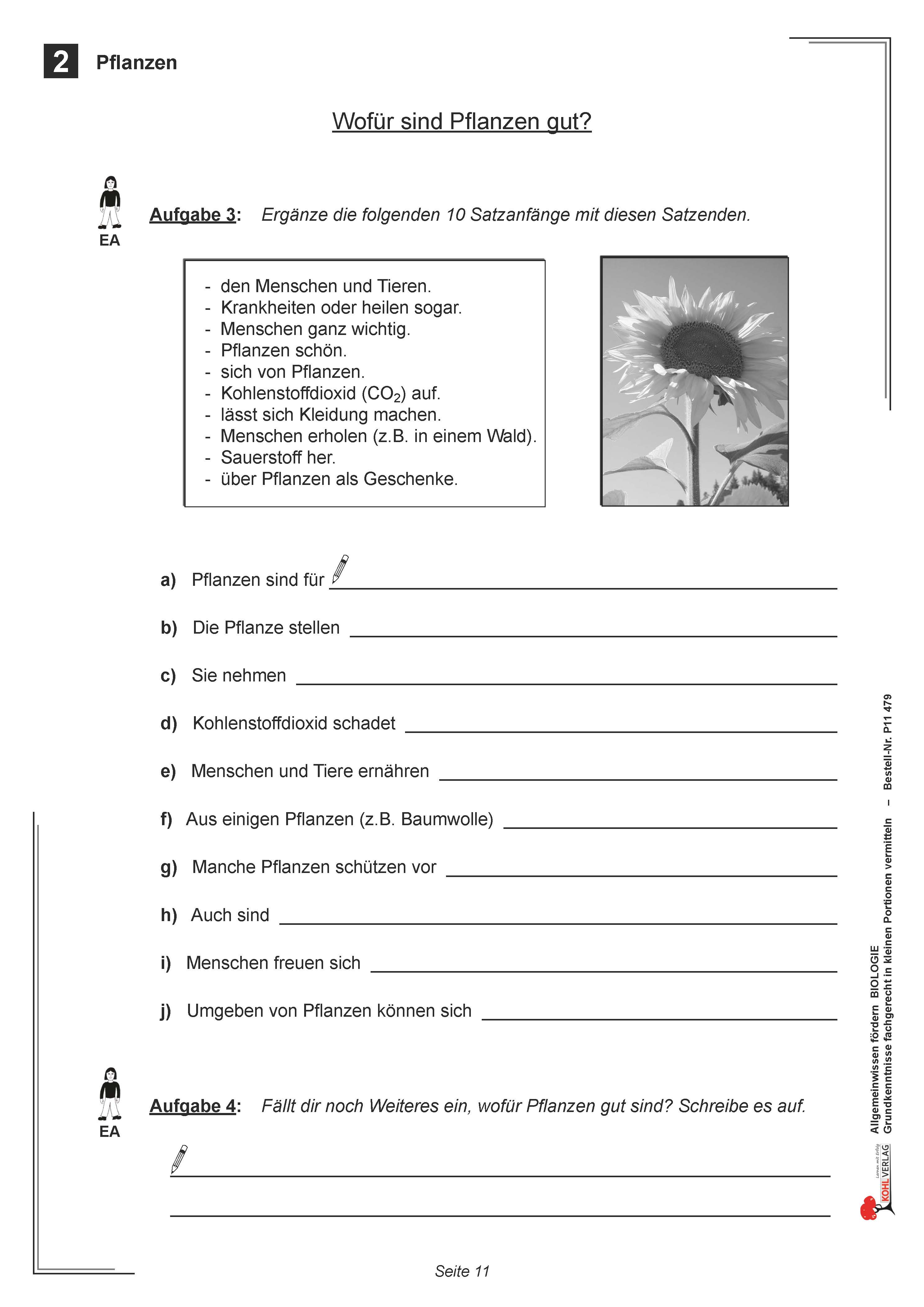 Allgemeinwissen fördern BIOLOGIE: Pflanzen