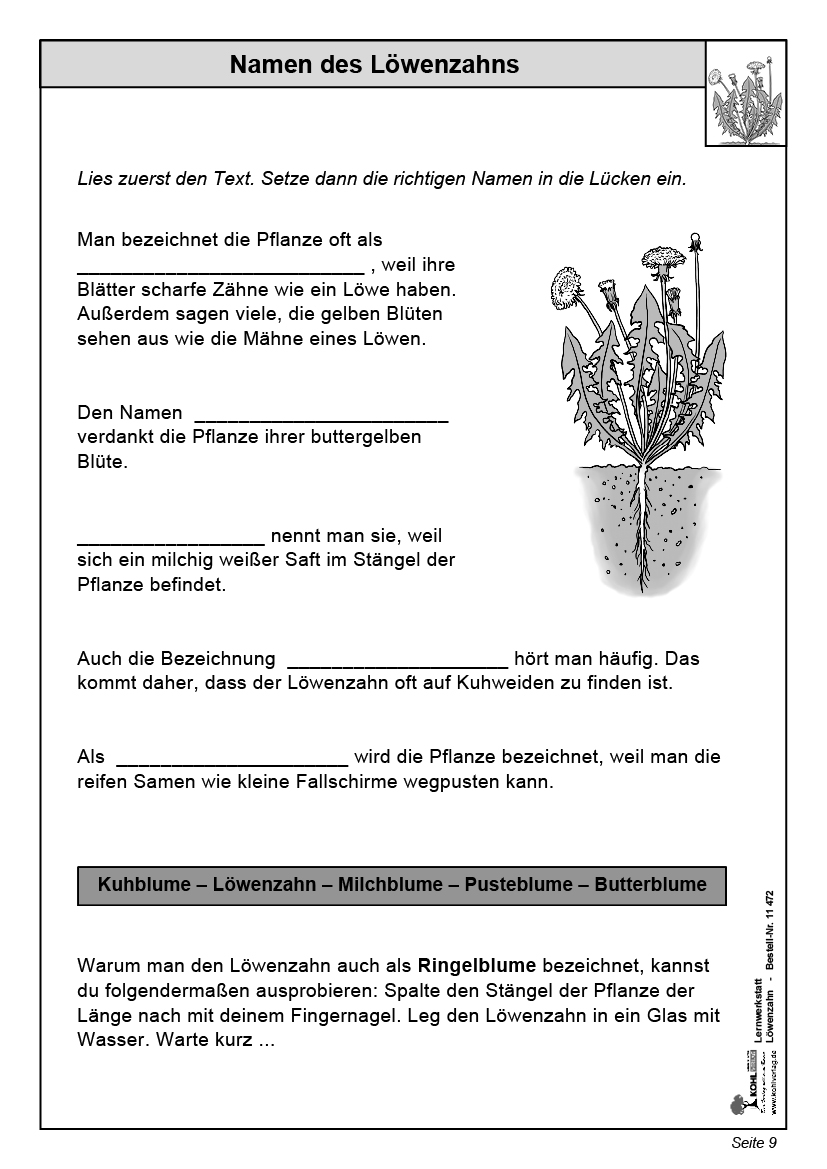 Lernwerkstatt Löwenzahn