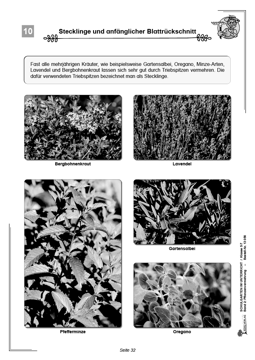 Schulgarten im Unterricht / Band 2: Pflanzenvermehrung