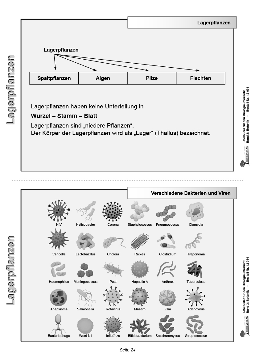 Tafelbilder Botanik