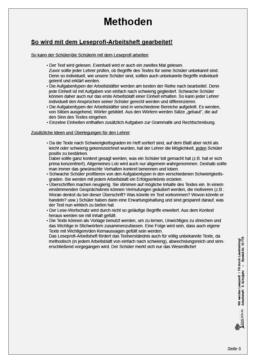 Wir werden Leseprofi - Arbeitsheft / Klasse 5