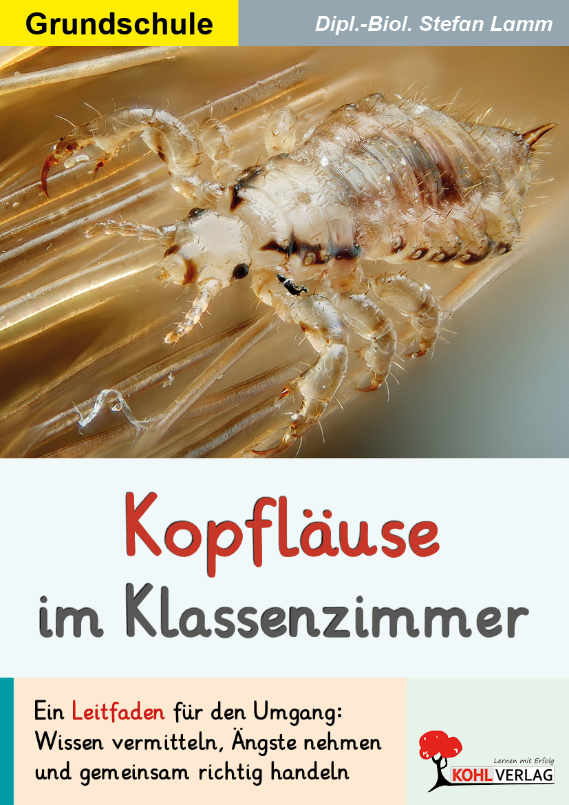 Kopfläuse im Klassenzimmer