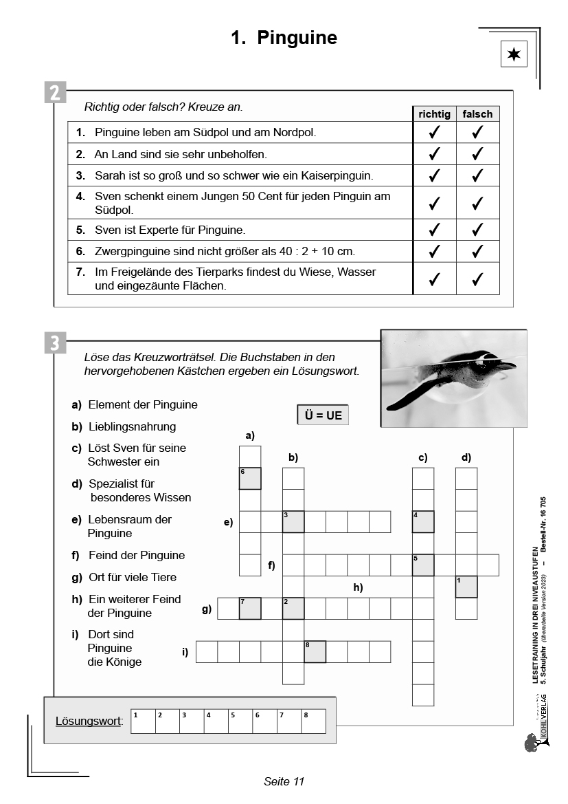 Lesetraining in drei Niveaustufen / Klasse 5