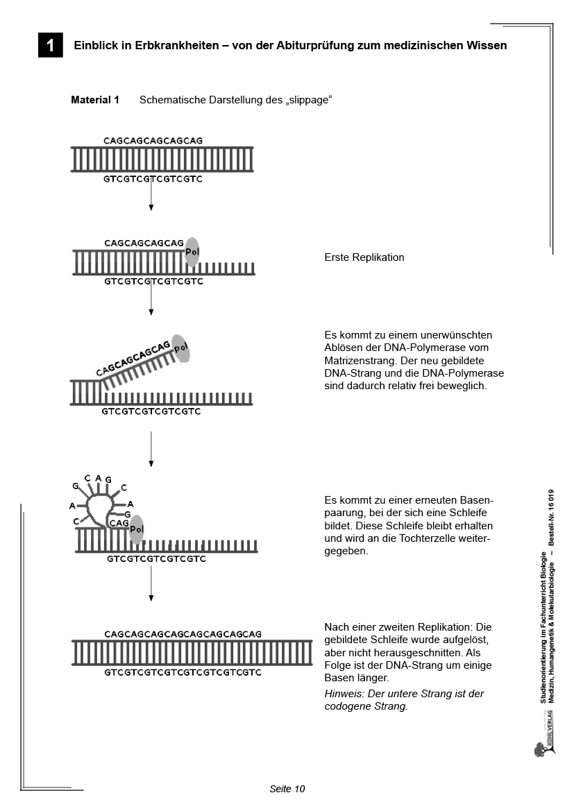 Studienorientierung Biologie - Band 1: Medizin, Humangenetik & Molekularbiologie