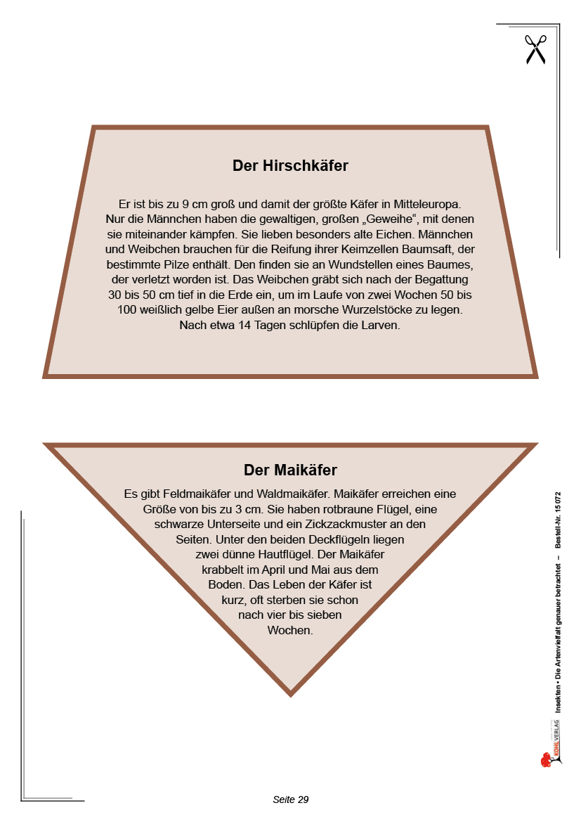 Insekten Insekten