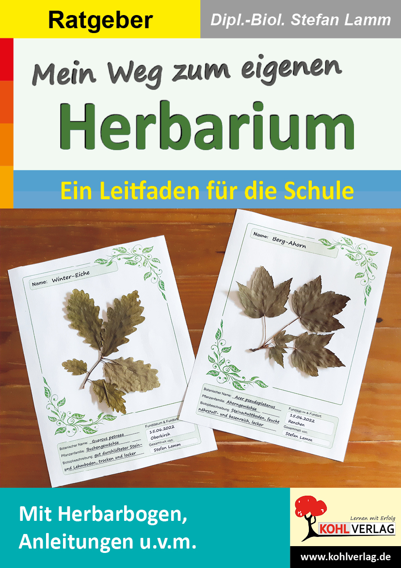 Mein Weg zum eigenen Herbarium