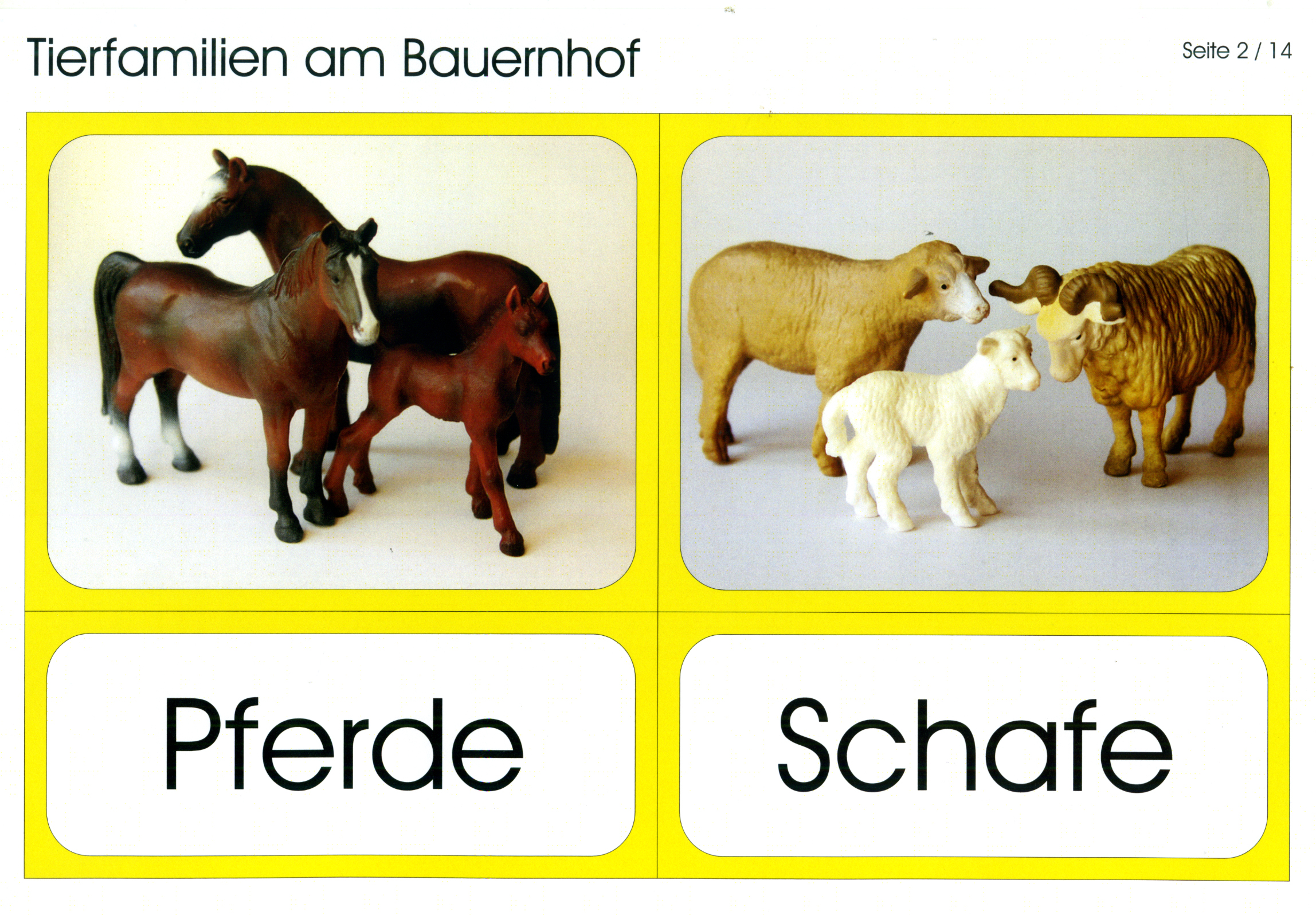 Tierfamilien Tierfamilien