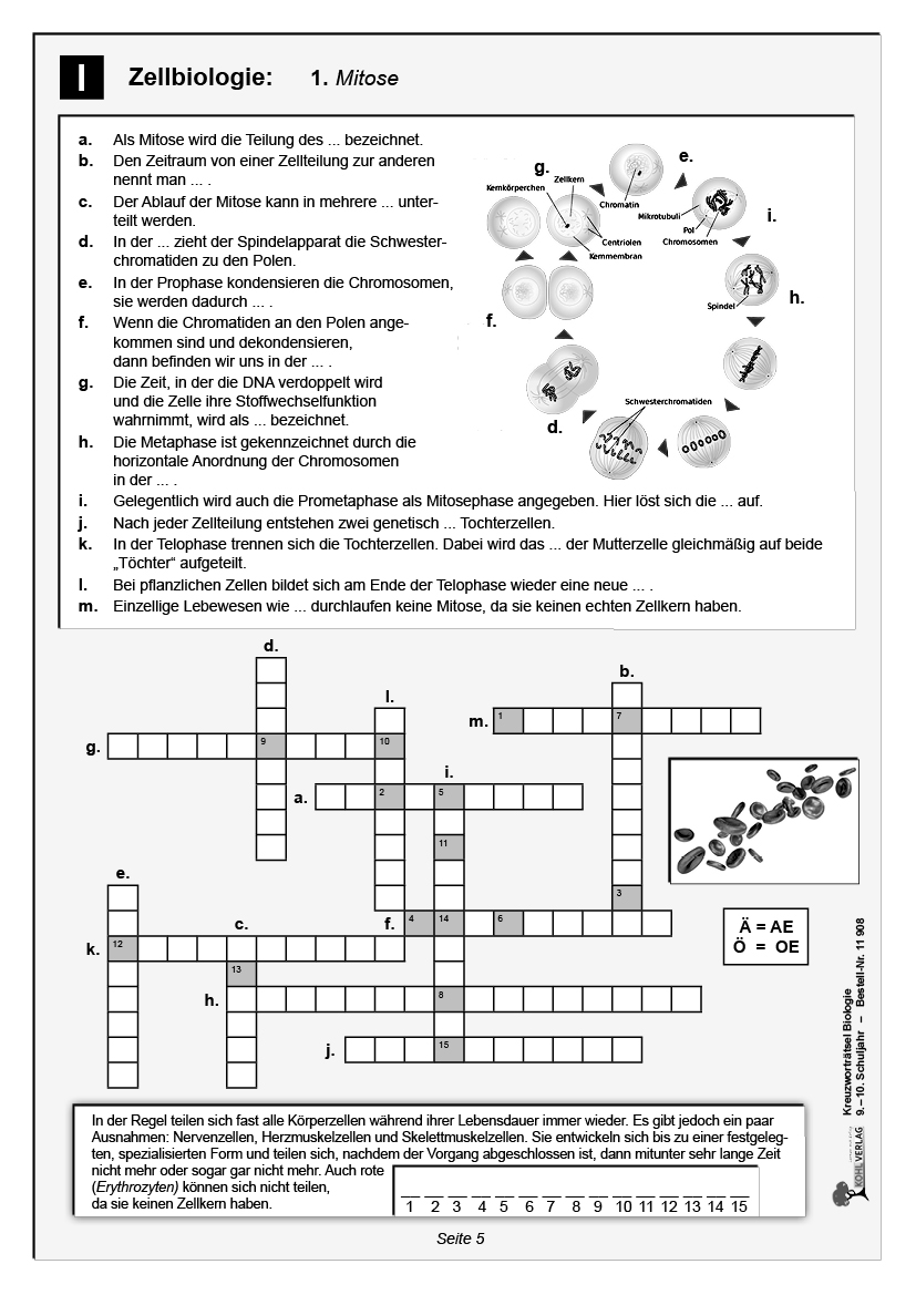 Kreuzworträtsel Biologie / Klasse 9-10