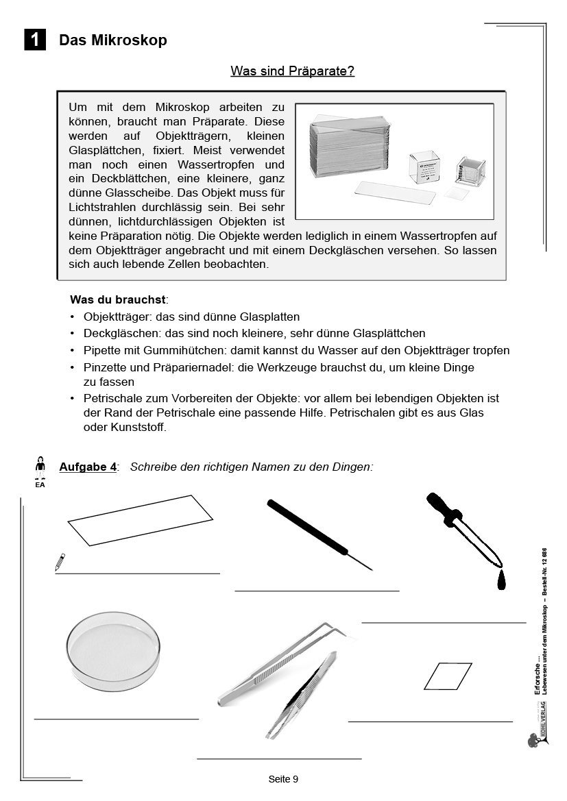 Erforsche ... Lebewesen unter dem Mikroskop