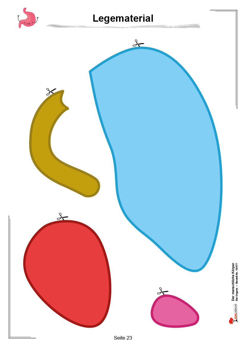 Der menschliche Körper / Band 1: Die Organe Der menschliche Körper / Band 1: Die Organe