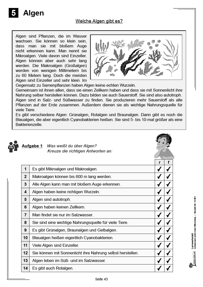 Lernwerkstatt Lebewesen unter dem Mikroskop / Klasse 5-6