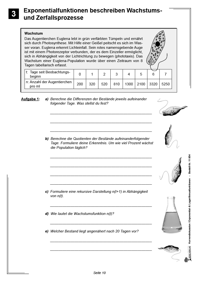 Kurvendiskussion / Exponential- & Logarithmusfunktionen