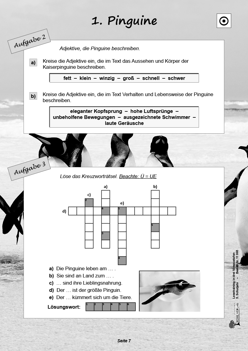 Lesetraining in drei Niveaustufen / Klasse 5