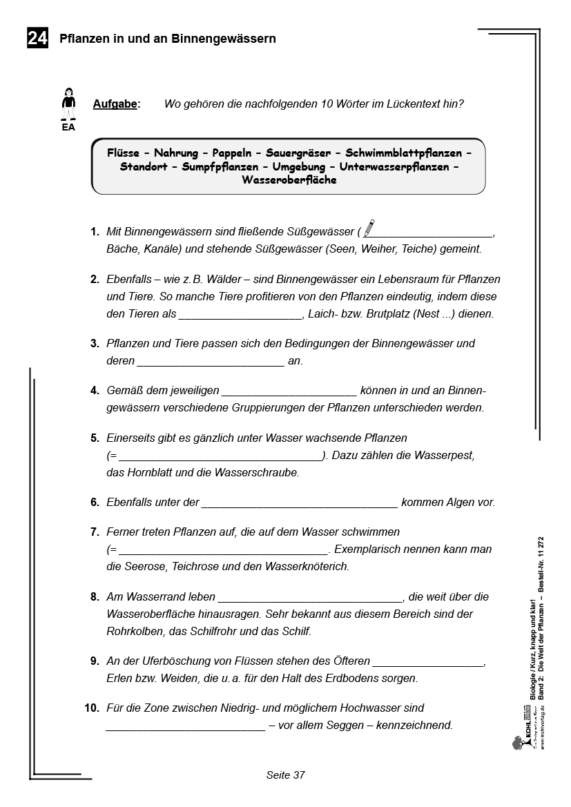 Biologie - Grundwissen kurz, knapp und klar II