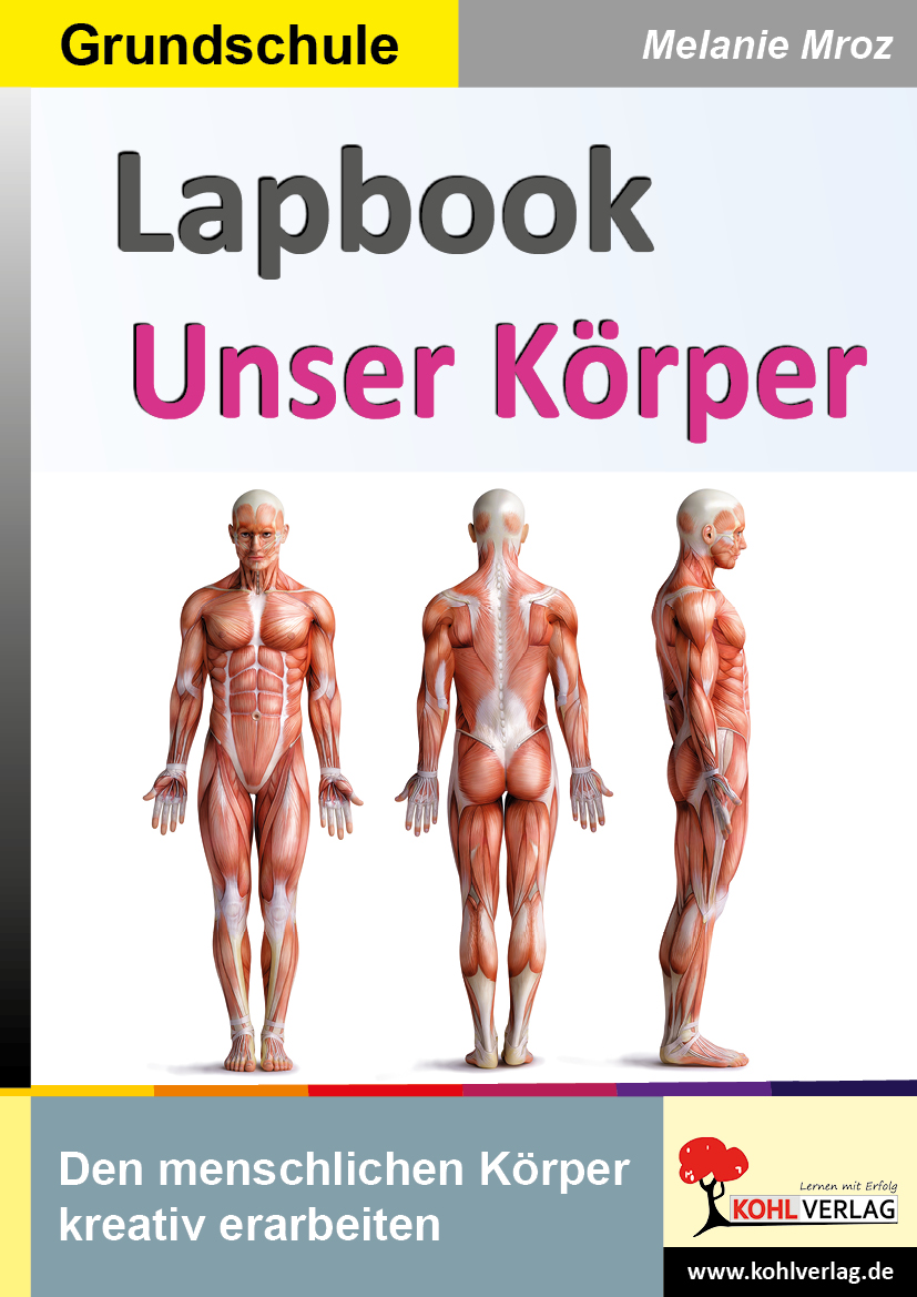 Lapbook Unser Körper