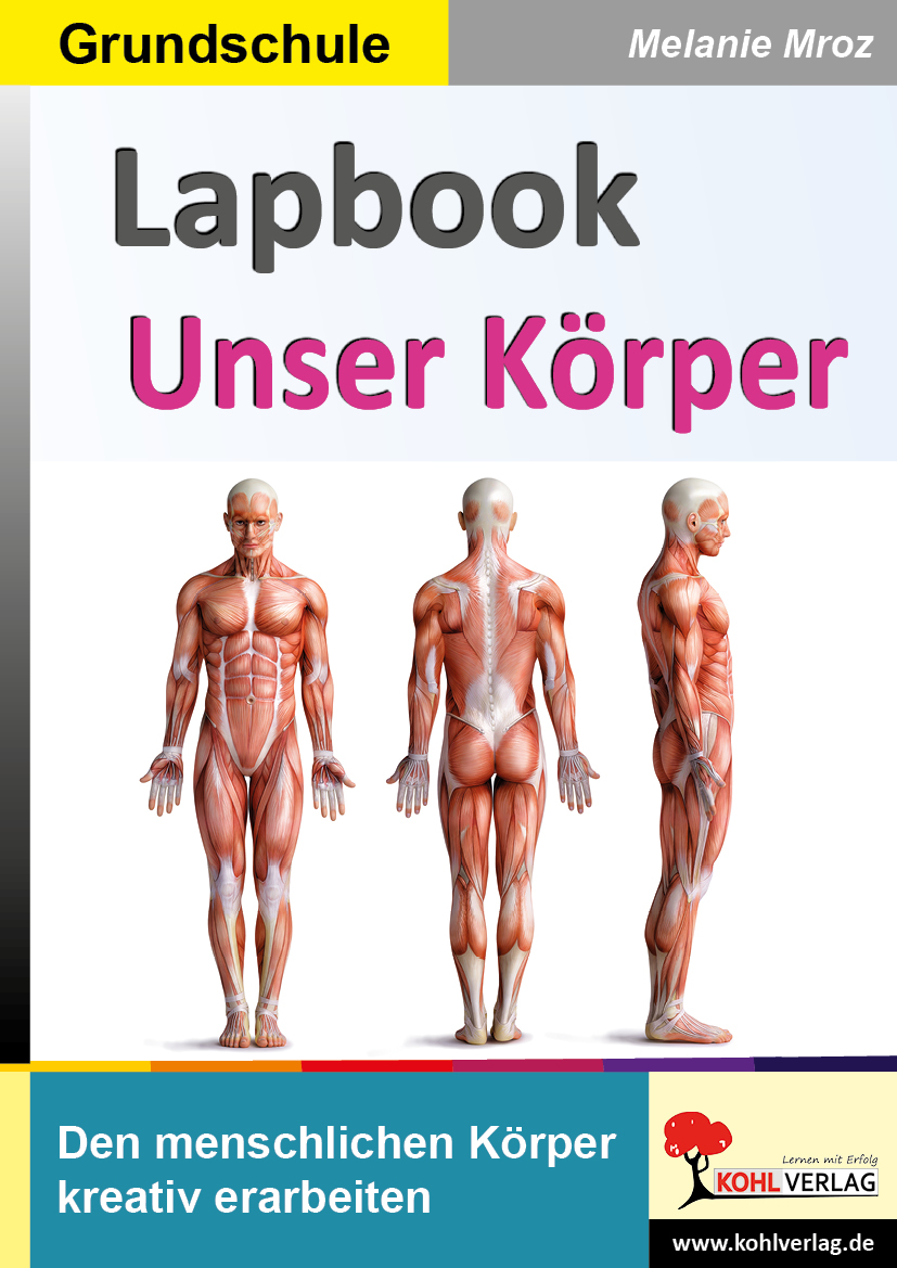 Lapbook Unser Körper Lapbook Unser Körper
