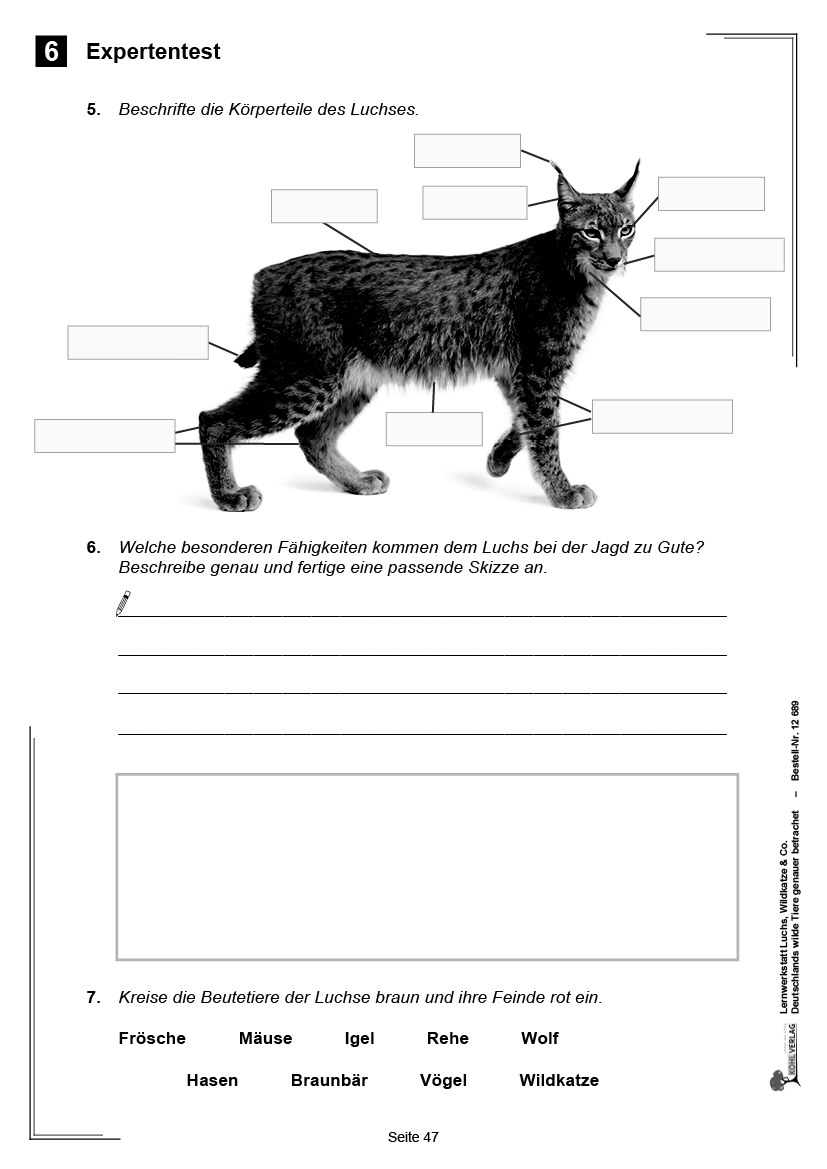 Lernwerkstatt Luchs, Wildkatze & Co Lernwerkstatt Luchs, Wildkatze & Co