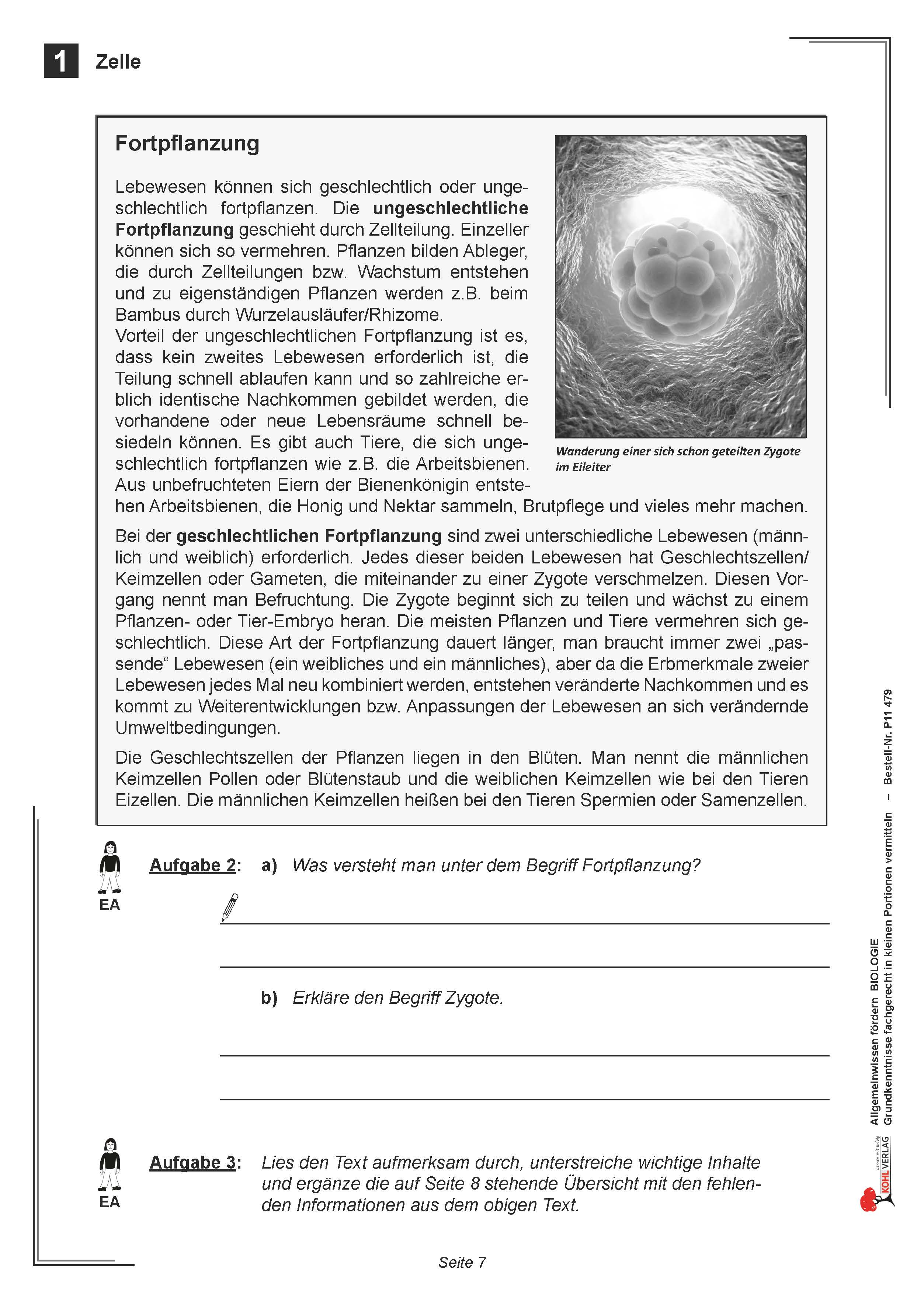 Allgemeinwissen fördern BIOLOGIE: Zelle