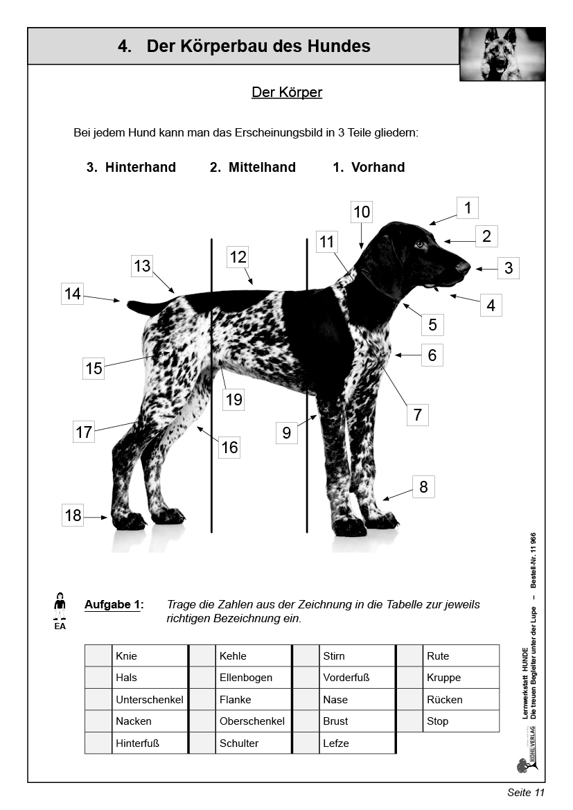 Lernwerkstatt Hunde