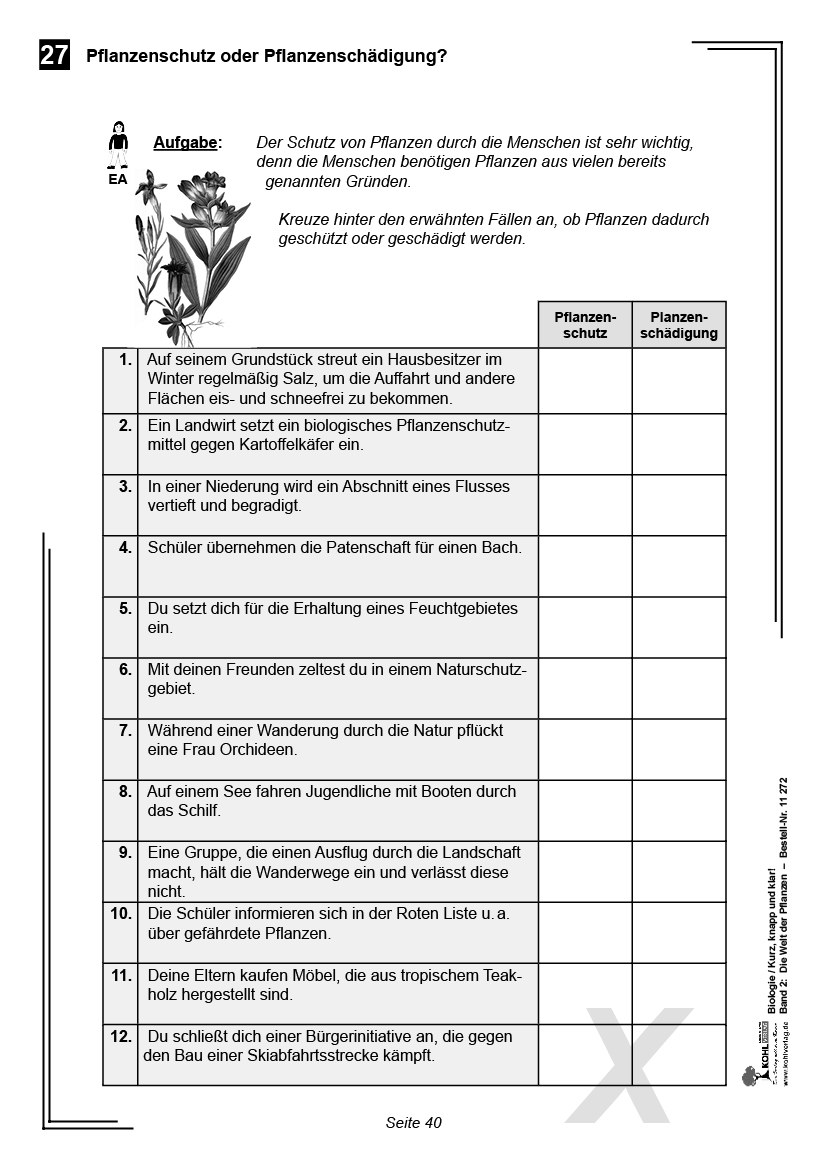 Biologie - Grundwissen kurz, knapp und klar II