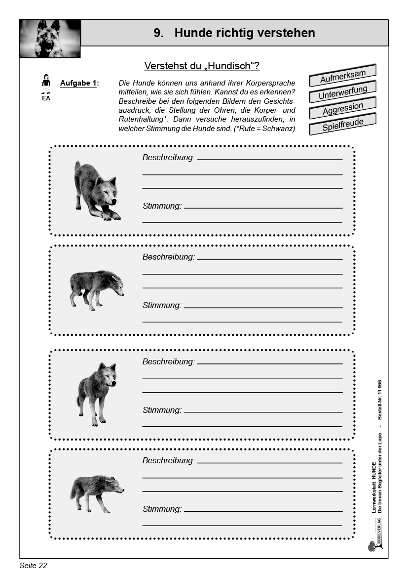 Lernwerkstatt Hunde Lernwerkstatt Hunde