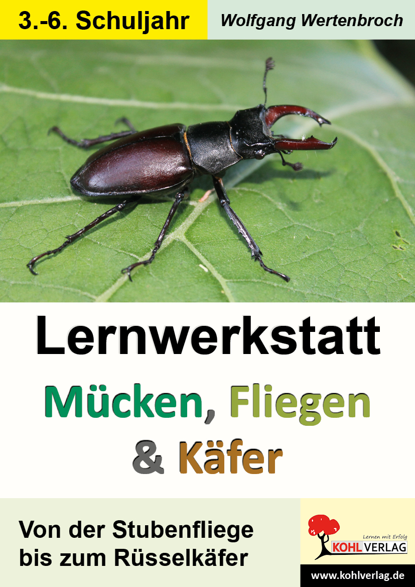 Lernwerkstatt Mücken, Fliegen und Käfer