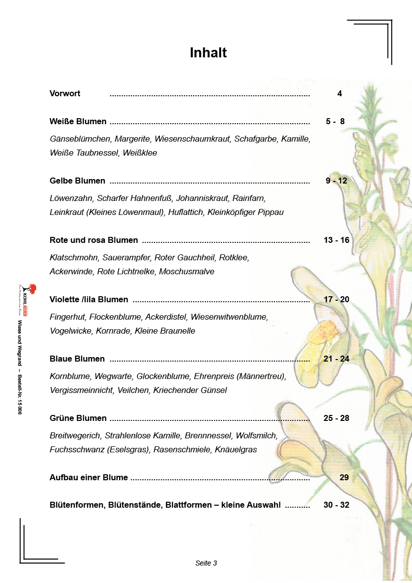 Wiese und Wegrand Wiese und Wegrand